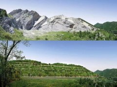 儿童 养胃食谱,儿童如何养胃