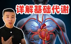 天富注册提高代谢的减肥食谱,怎么才能提高代谢