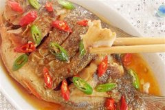 泰迪菜谱,老了的泰迪如何照顾才正确