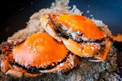 天富卤三国概述福建闽卤之盐焗系列