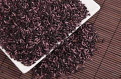 天富注册紫米应该如何选购？紫米什么人不能吃