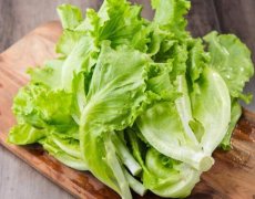 天富注册吃生菜会不会感染寄生虫 清洗不干净增